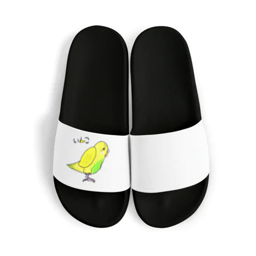 インコ　動物シリーズ Sandals