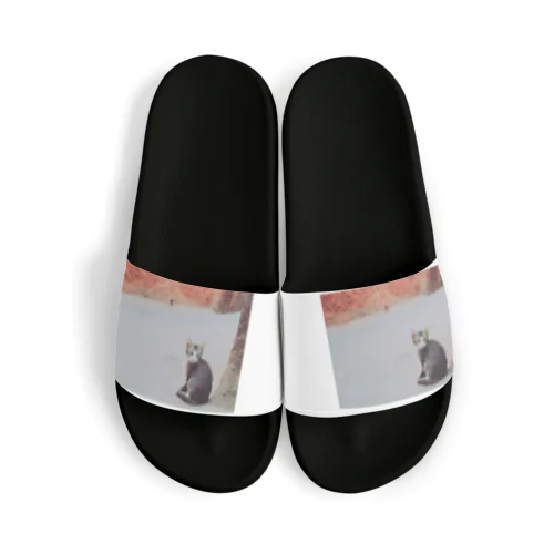 モロッコの猫 Sandals