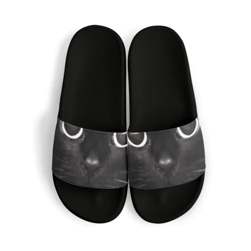 Black Cat Sandals