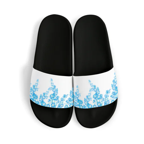 咲き乱れる青い花 デルフィニウム Sandals
