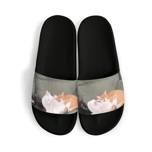 ウチの猫達 Sandals