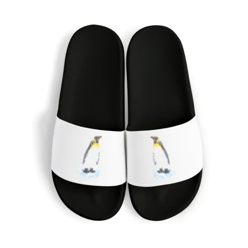 ペンギンでペンギン Sandals
