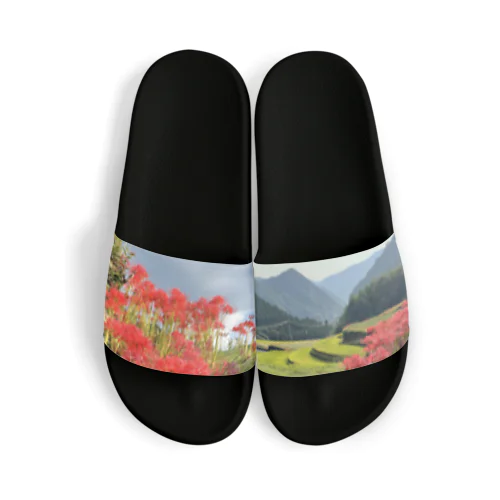 曼珠沙華 Sandals