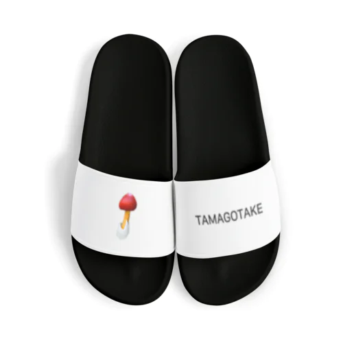 TAMAGOTAKE Sandals