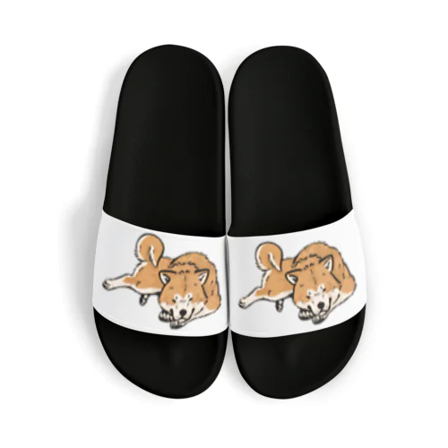 秋田犬 Sandals