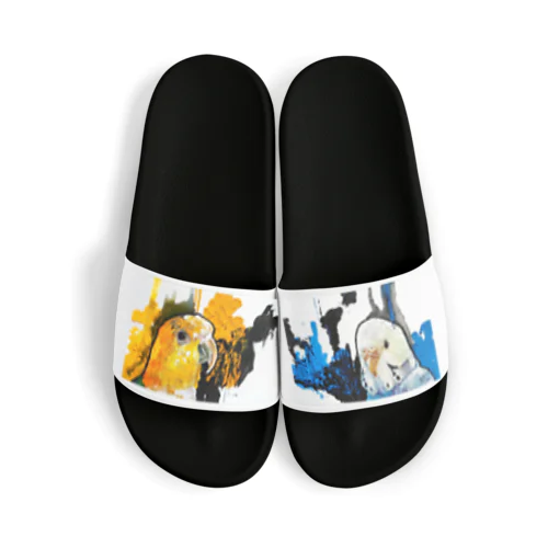 シロハラインコ アート風 カラー Sandals