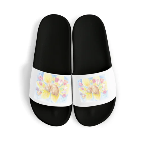 春眠猫 Sandals