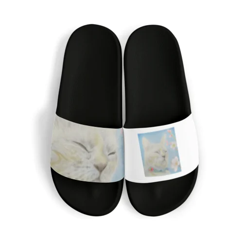 ねこ ぬくぬく Sandals