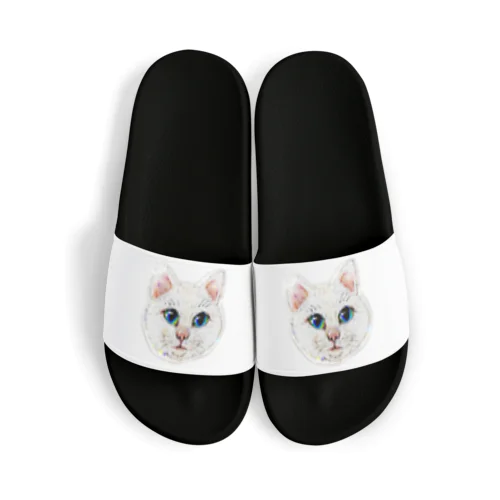 しろねこちゃん Sandals