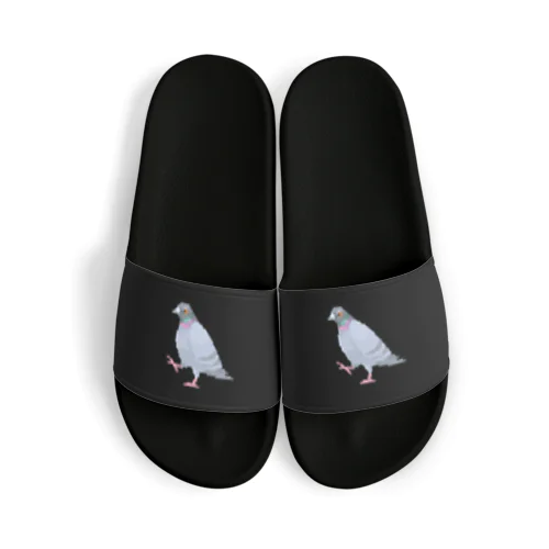 歩いてる鳩 Sandals