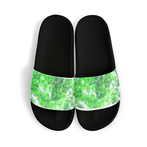 Vert frais Sandals