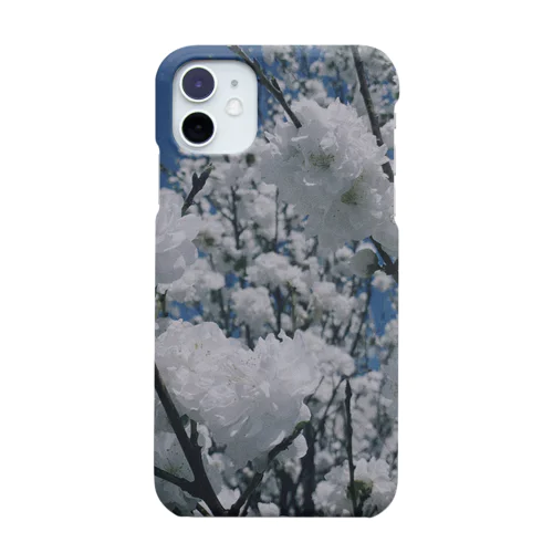 powa powa  iPhone Smartphone Case