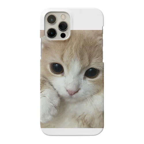 くしくし Smartphone Case