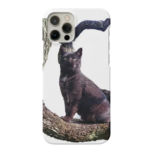 ちこちゃんなのだ！(ﾄﾞﾔｯ) Smartphone Case