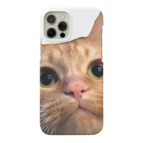 ビビり猫キンちゃん Smartphone Case