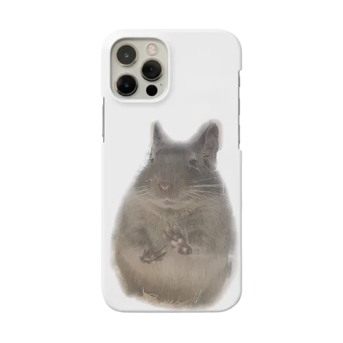 儚げなみろく Smartphone Case