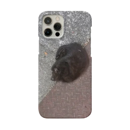 黒猫女の子の手鞠さん Smartphone Case