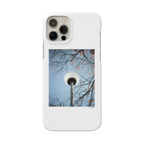 Street Light Smartphone Case