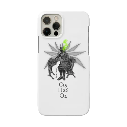 C19H26O2 Smartphone Case