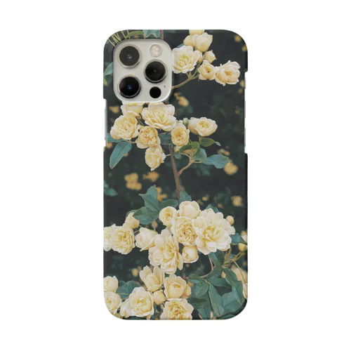 Rosa banksiae Smartphone Case