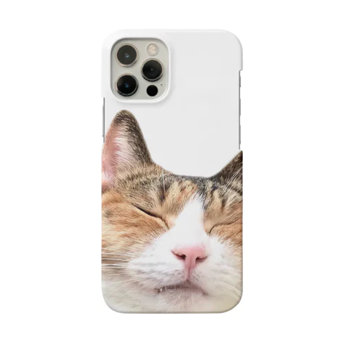 縞三毛猫どーん Smartphone Case