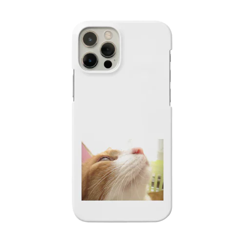 前向き　にゃんこ Smartphone Case