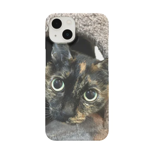 サビ猫タビ Smartphone Case