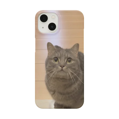 【お出迎え猫】マンチカンのアクアちゃんiPhoneケース スマホケース