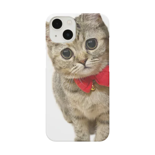 あざといチャプチェ Smartphone Case