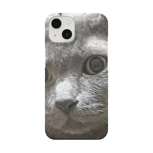 実家の猫 Smartphone Case