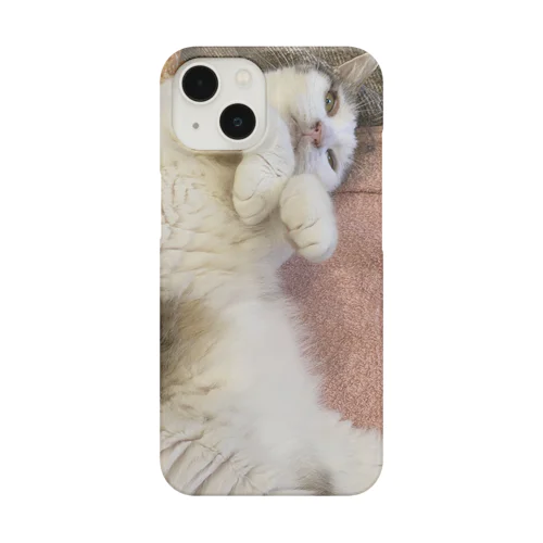 慎之助 Smartphone Case