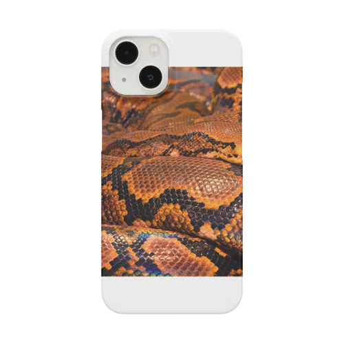 Real colorful snake skin Nr. 8,  本物 の カラフルな ヘビ 皮 No. 8,  8番 スマホケース