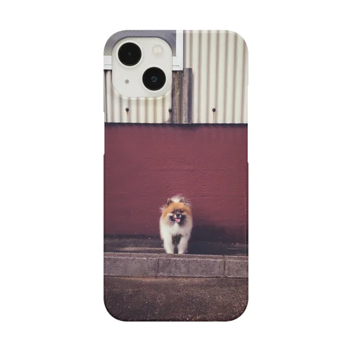 smile Smartphone Case