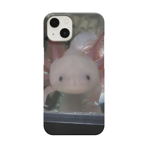 ウーパールーパー　サンゴ Smartphone Case