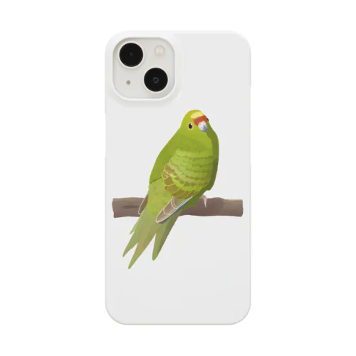 キガシラアオハシインコ(前面プリント) Smartphone Case