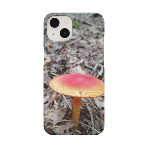 🍄 スマホケース