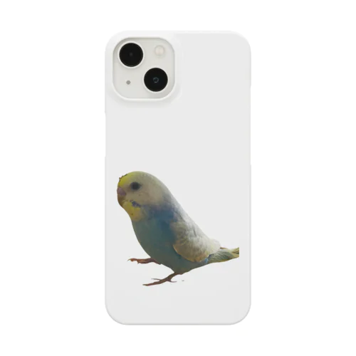 遊びすぎて頭が汚れてしまったセキセイインコくん Smartphone Case