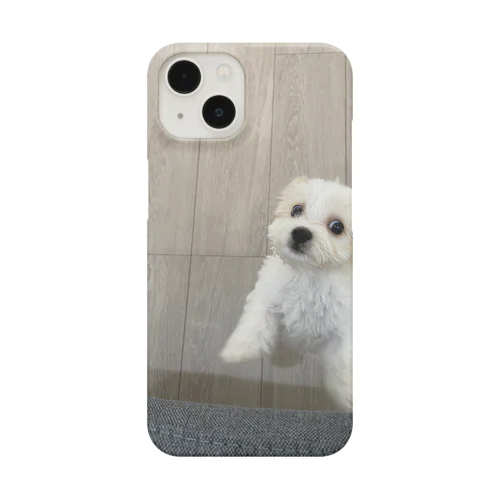 必死なクッキー(パピー時代) Smartphone Case