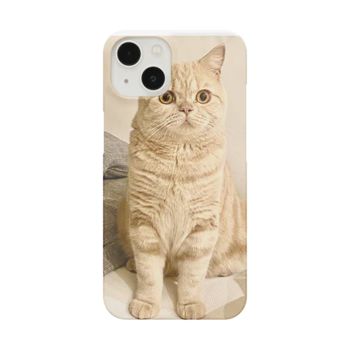 猫のルビー iPhone Smartphone Case