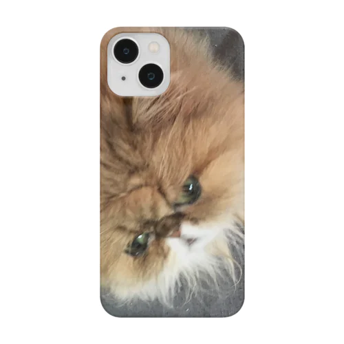 ぶちゃ猫・茶々丸 Smartphone Case