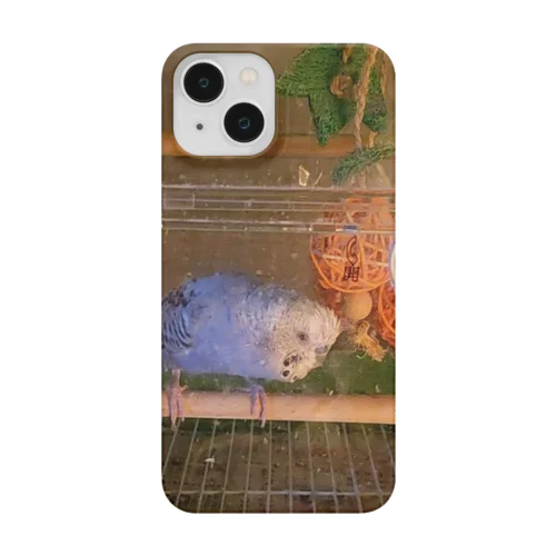 飼ってるインコ Smartphone Case