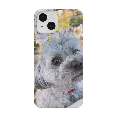 桜とトイプー iPhone Smartphone Case