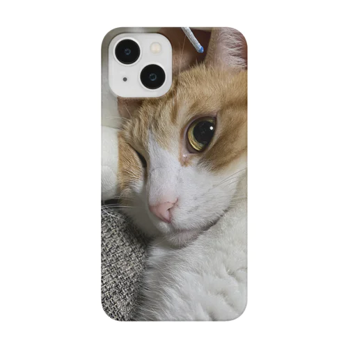 ちゃたろう、おめめがッ Smartphone Case