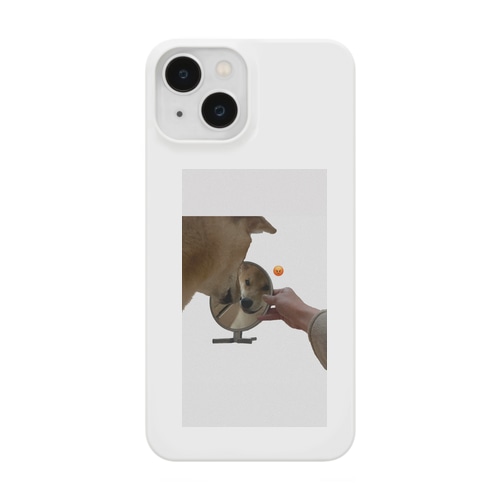 鏡にキレてる柴犬 Smartphone Case