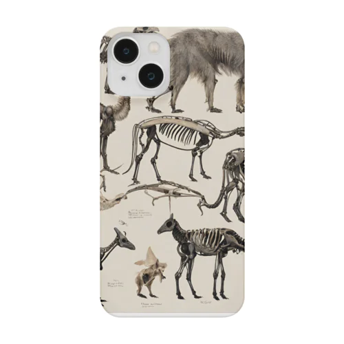 骨格標本 Smartphone Case