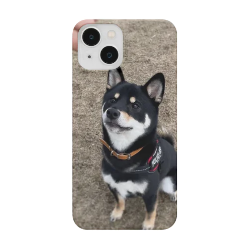 柴犬むさしのボール待ち スマホケース