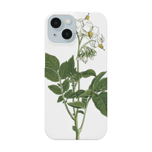 ジャガイモ（Solanum tuberosum） Smartphone Case