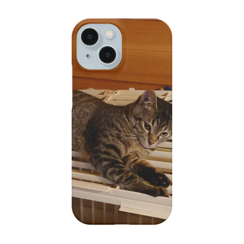 だらーんにゃんこの写真 Smartphone Case