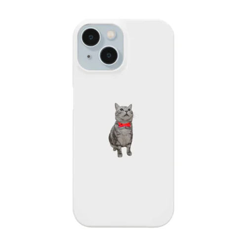 エンジェルのアメショのドラ猫ちゃん（18） Smartphone Case