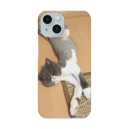 けむけ iPhone Smartphone Case